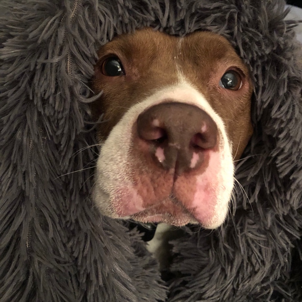 Meet your Posher, Gladys